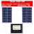 600H--60W (2 Solar Panel ) + $260.00