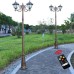 Lamp Post Lights Outdoor Lamp Post Lights Outdoor, European Courtyard High Pole Street Light Solar Outdoor 2 Heads Post Light Villa Retro Garden Lamp Community Waterproof LED Street Lamp Solar Vintage